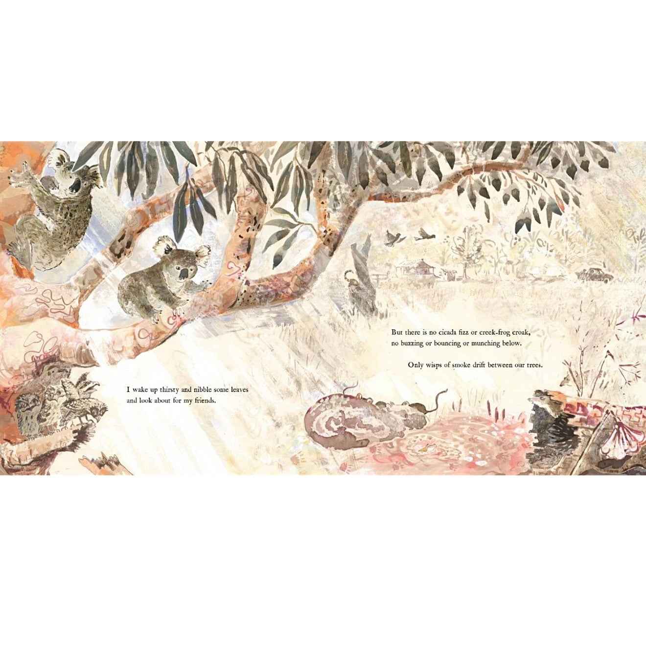Hand to Hand Bushfire (Hardcover) by Liz Anelli Australian Animals Story Book