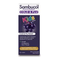Sambucol Kids Cold & Flu Liquid 250ml Exclusive Size - GimmeNow