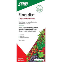 Floradix Liquid Iron Plus 500ml