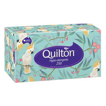 Quilton Facial Tissue 2 Ply Hypoallergenic 250 Pack