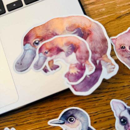 Australian Animal Large Vinyl Waterproof window wall decor Stickers Original Artworks Selected 10pcs Pack by Watercolour By Cat