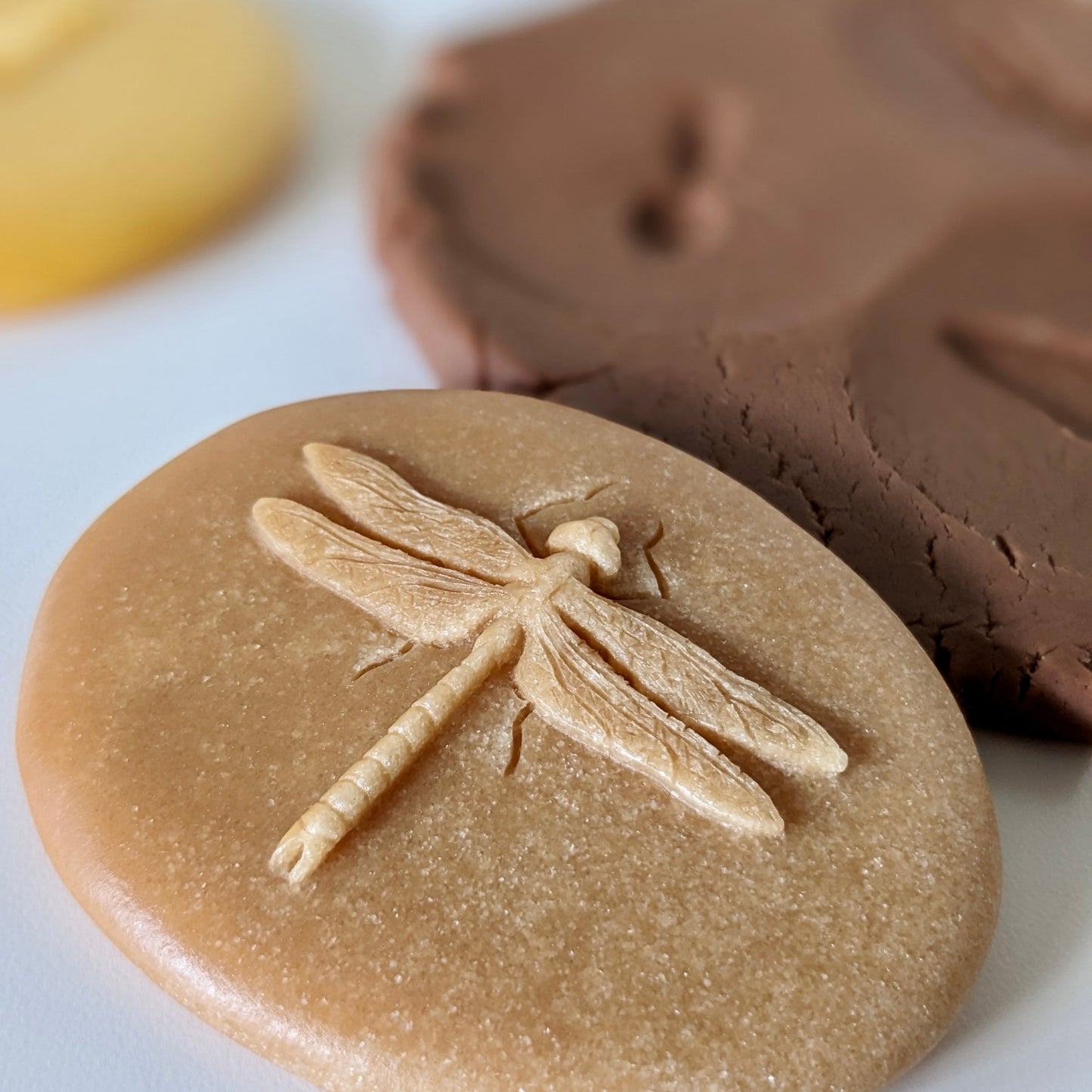 Yellow Door Let’s Investigate Bugs Set of 8 Sensory Stone Art and Craft for Kids Playdough Sand Toys Sensory Toys for Toddlers 2yrs+