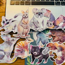 Australian Animal Large Vinyl Waterproof window wall decor Stickers Original Artworks Selected 10pcs Pack by Watercolour By Cat