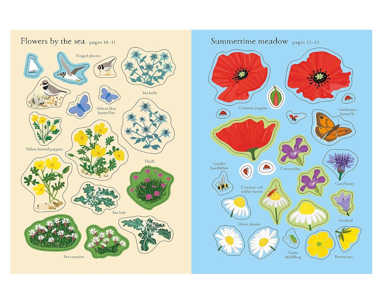 Little First Stickers Activity Book Wildflowers with 130 Stickers (Paperback) Travel Toys