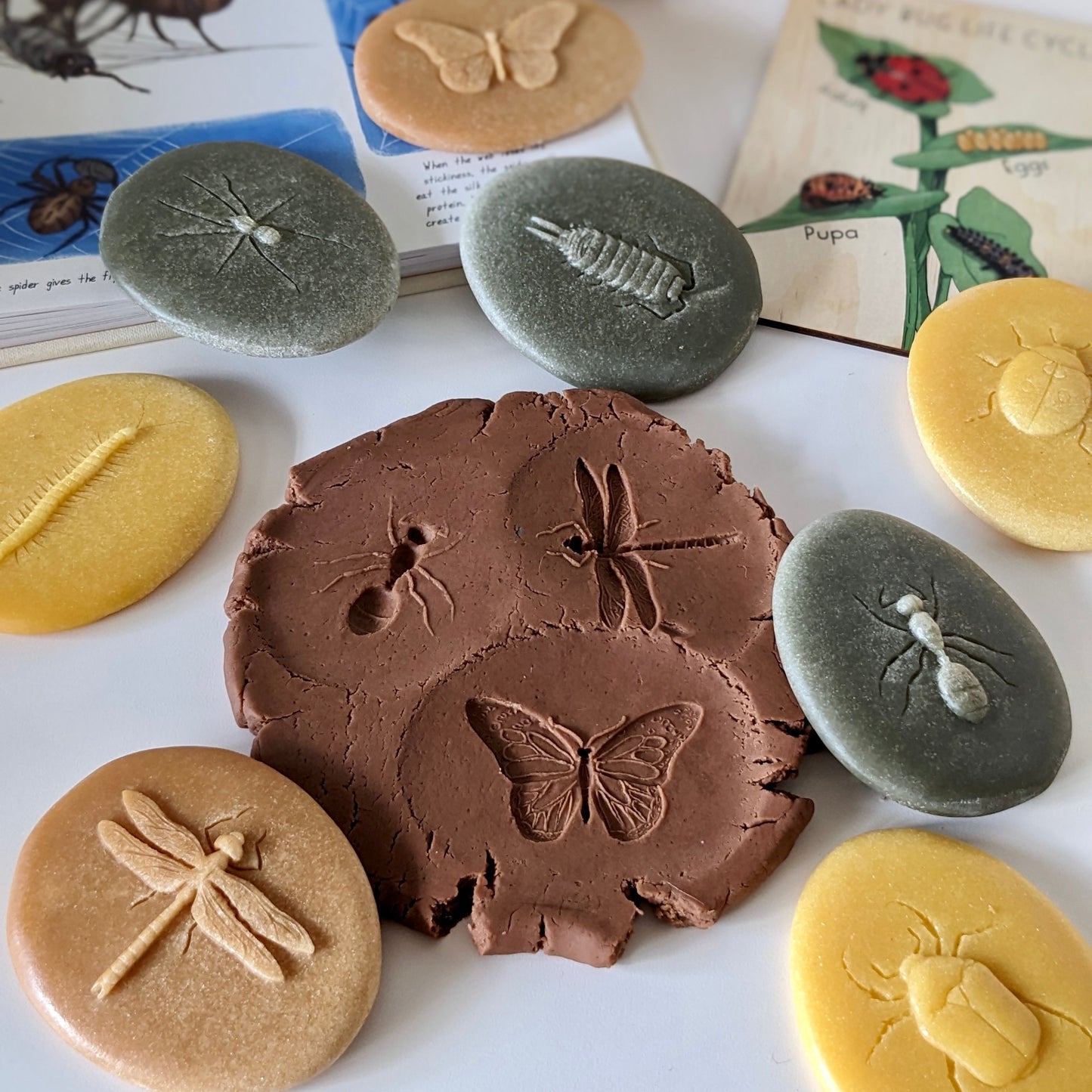 Yellow Door Let’s Investigate Bugs Set of 8 Sensory Stone Art and Craft for Kids Playdough Sand Toys Sensory Toys for Toddlers 2yrs+