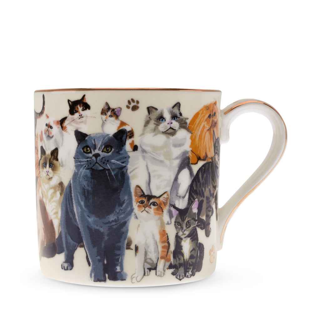 Boxed Mug Paws For Tea Cats