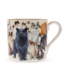 Boxed Mug Paws For Tea Cats