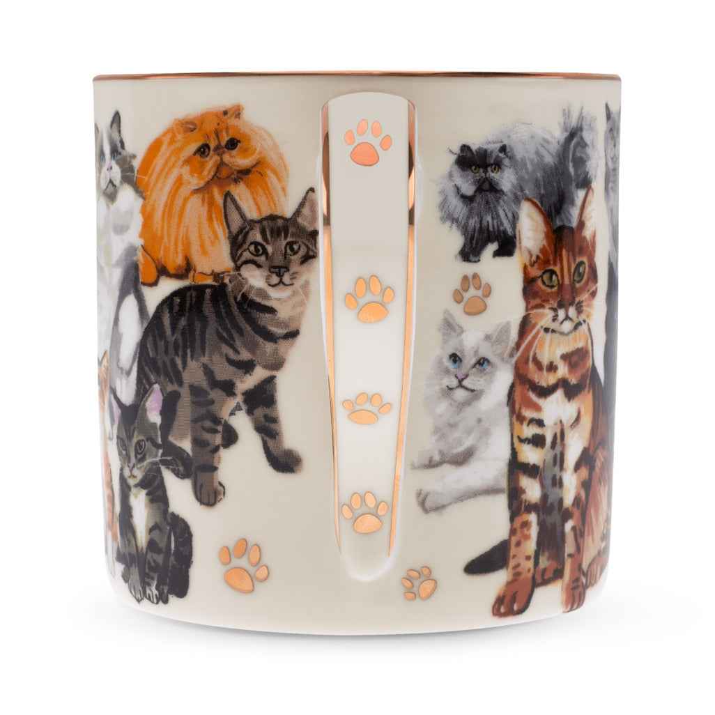 Boxed Mug Paws For Tea Cats