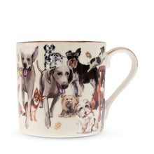 Boxed Mug Paws For Tea Dogs