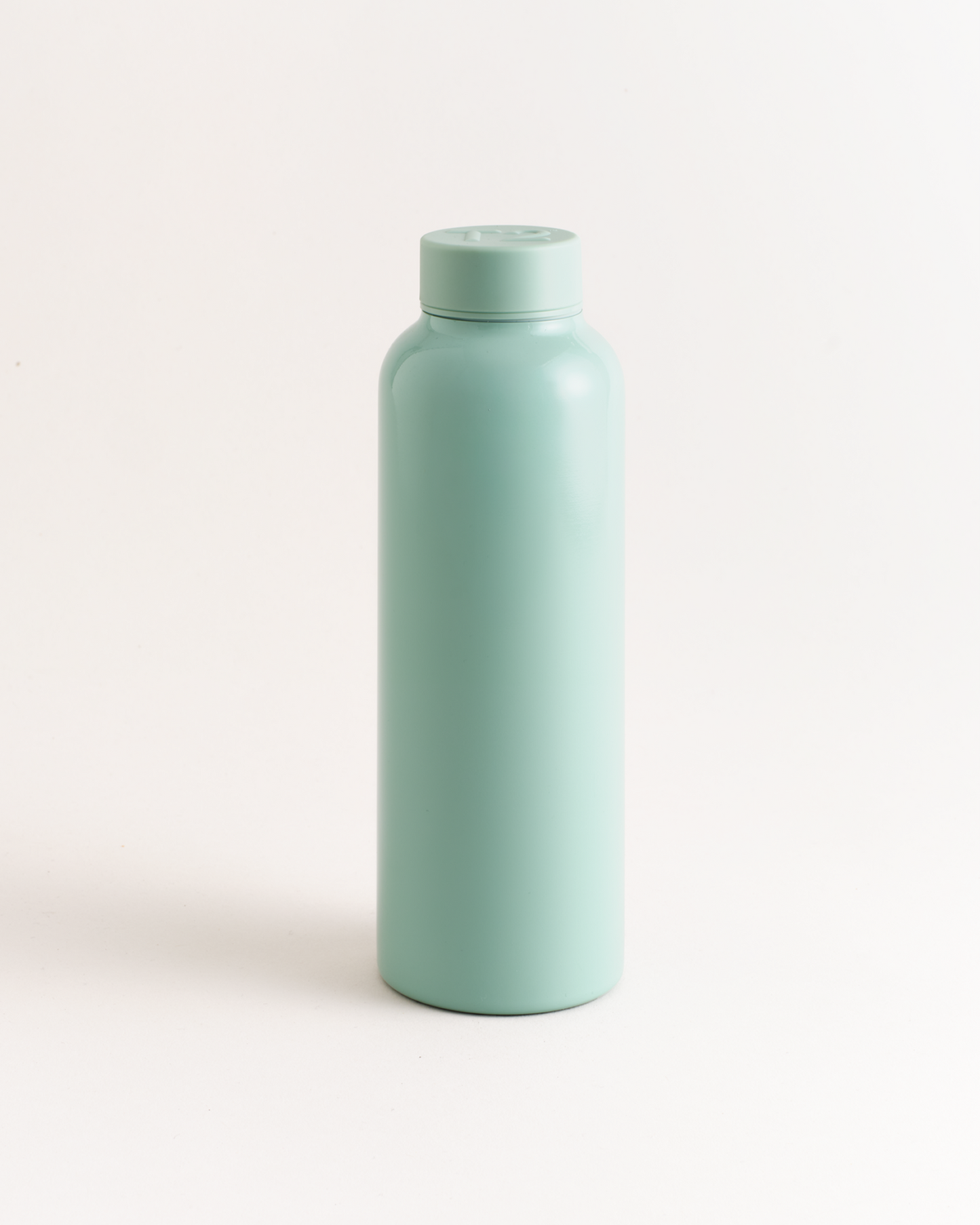 T2 Stainless Steel Flask Sage