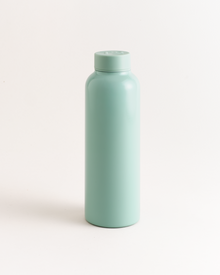 T2 Stainless Steel Flask Sage