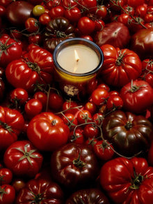 Roma Heirloom Tomato Candle