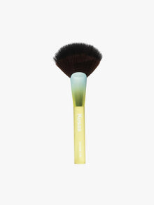 Contour Fan Brush