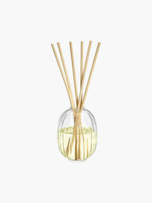 Figuier Reed Diffuser