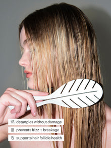 Detangling Brush