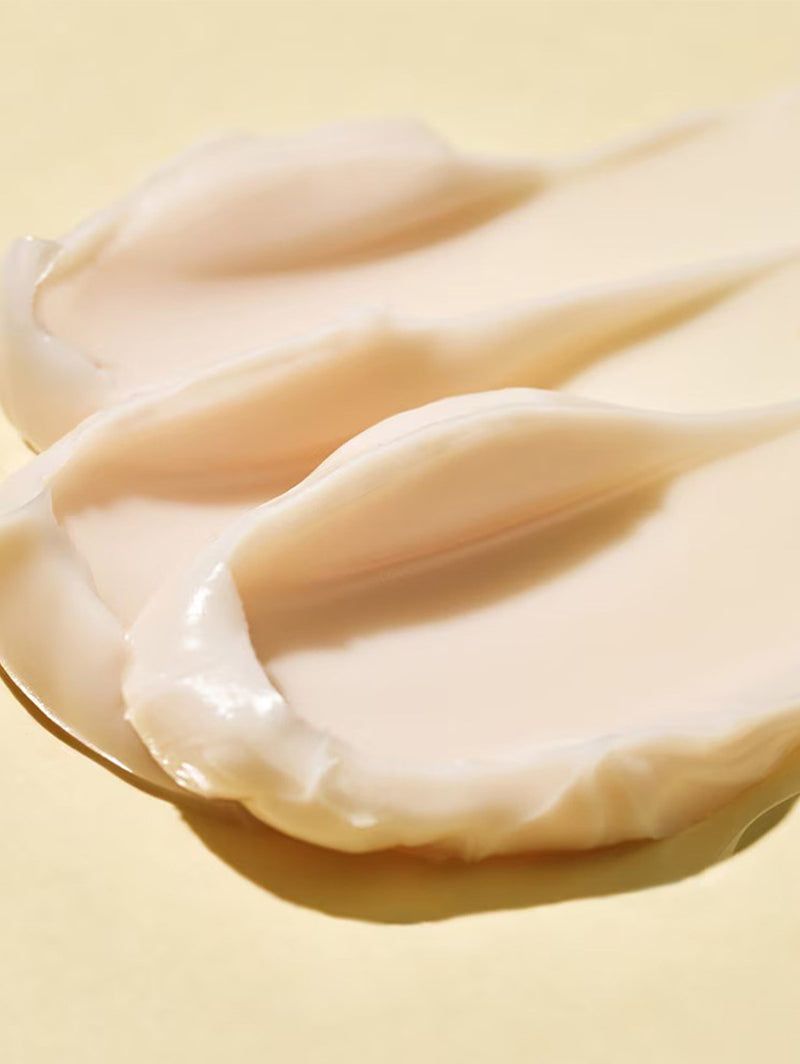 Ceramidin Ectoin-Infused Cream