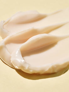 Ceramidin Ectoin-Infused Cream