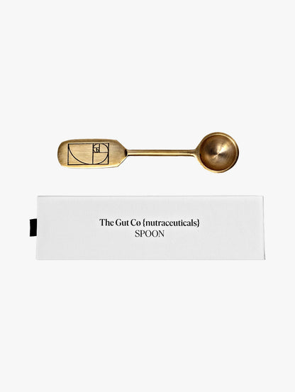 Brass Measuring Spoon