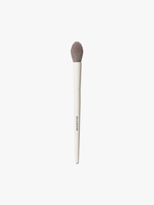 M164 Small Pointed Powder Brush