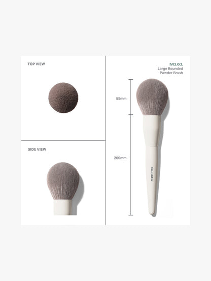 M161 Large Rounded Powder Brush