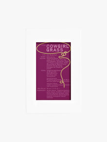 Cowgirl Grass EDP