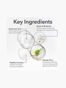 DermInfusions™ Fill + Repair Eye Cream