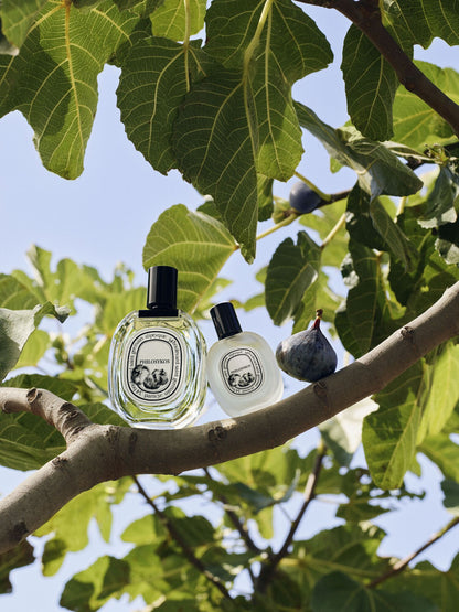 Philosykos Hair Mist