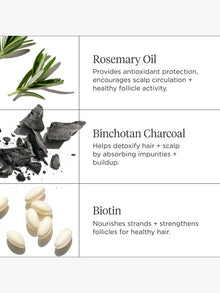 Scalp Revival™ Travel Minis Kit