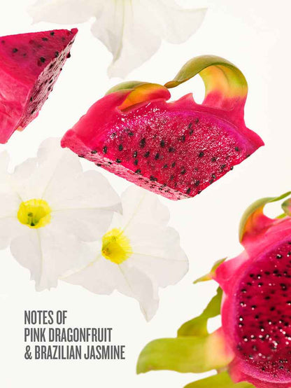 Beija Flor Party Of Two