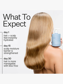 Daily Hydro Hydrating Shampoo For Dry Damaged Hair