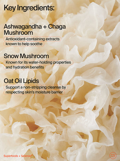 Adaptogen Cleanser