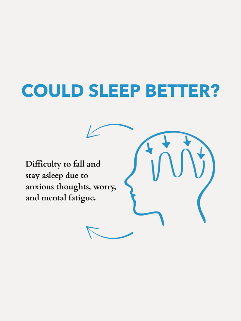 The Little Gift Of Good Sleep Cornish Lavender