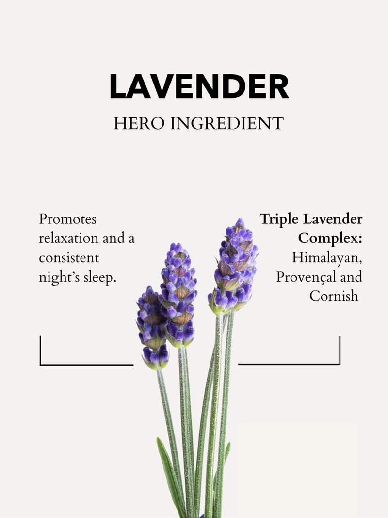 The Little Gift Of Good Sleep Cornish Lavender