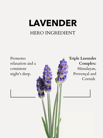 The Little Gift Of Good Sleep Cornish Lavender