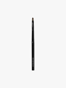 30. Detailed Lip Brush