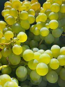 Santorini Grape Toner