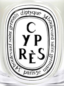 Cyprès Candle