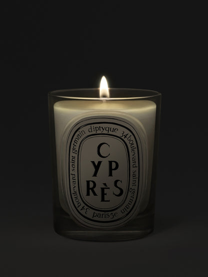 Cyprès Candle