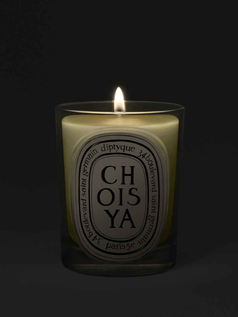 Choisya Candle