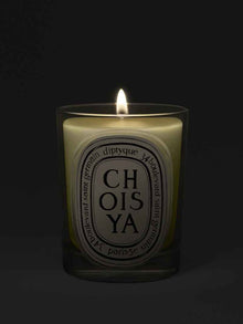 Choisya Candle