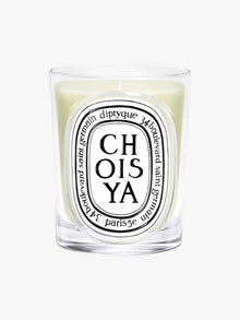 Choisya Candle