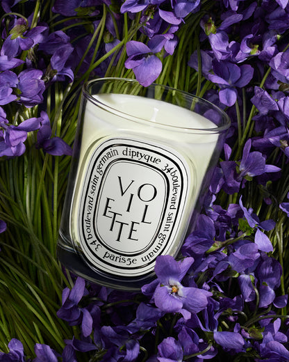 Violette Candle