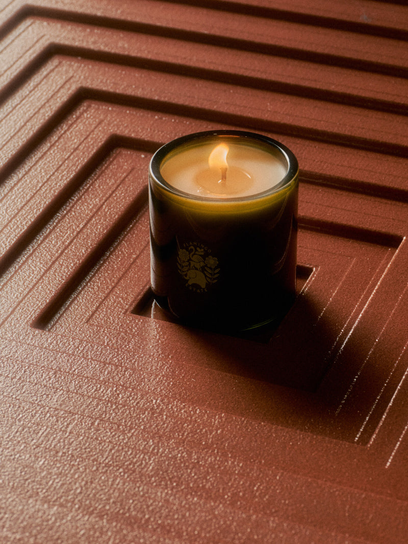 The Golden Pollinator Candle