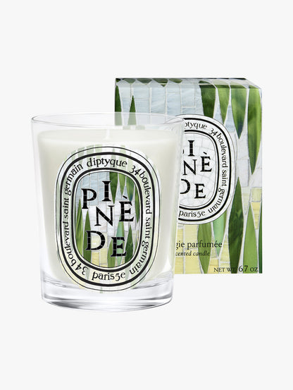 Pinède Candle