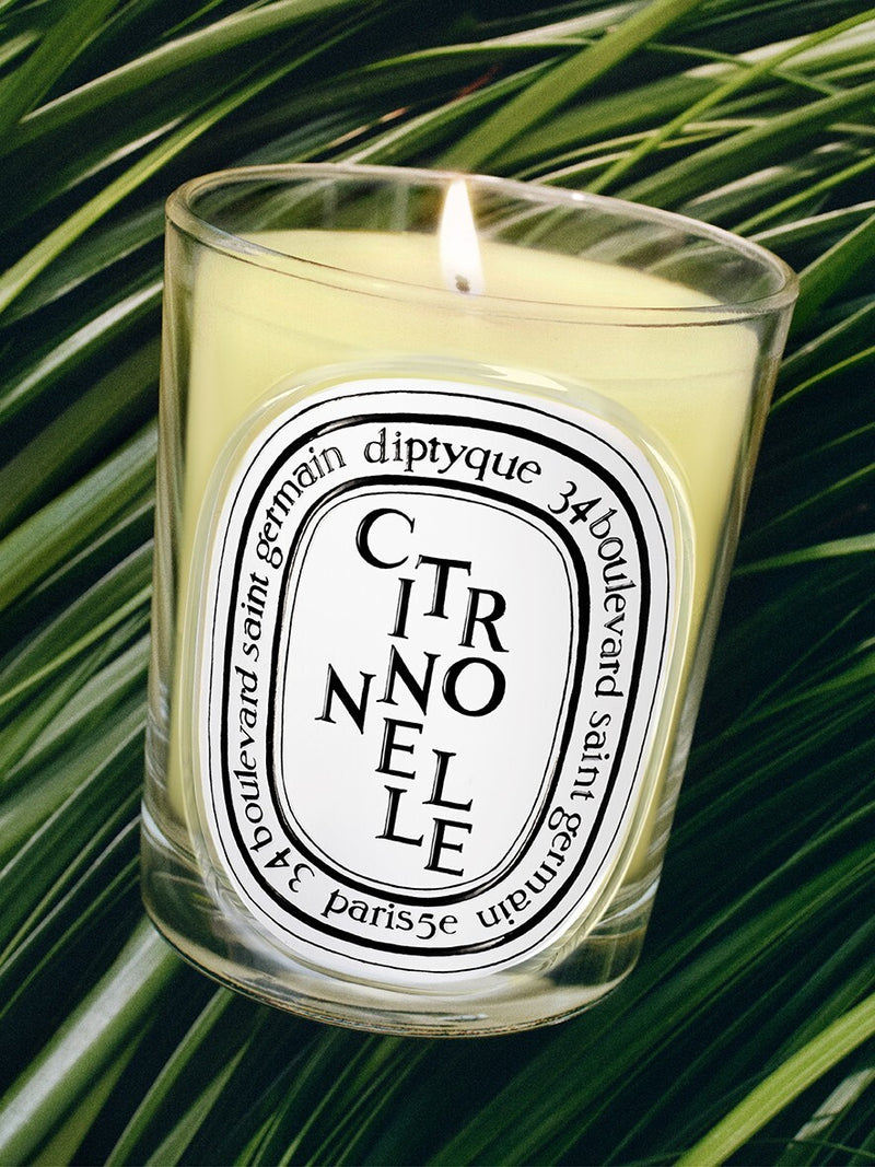 Citronnelle Classic Candle