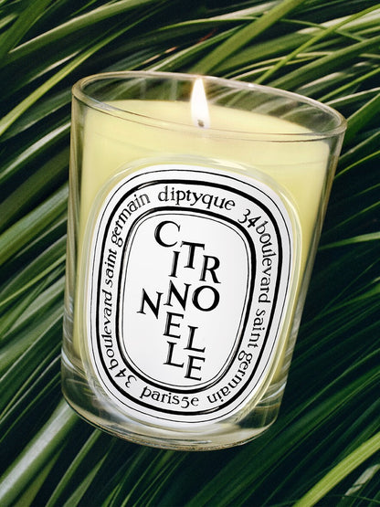 Citronnelle Classic Candle