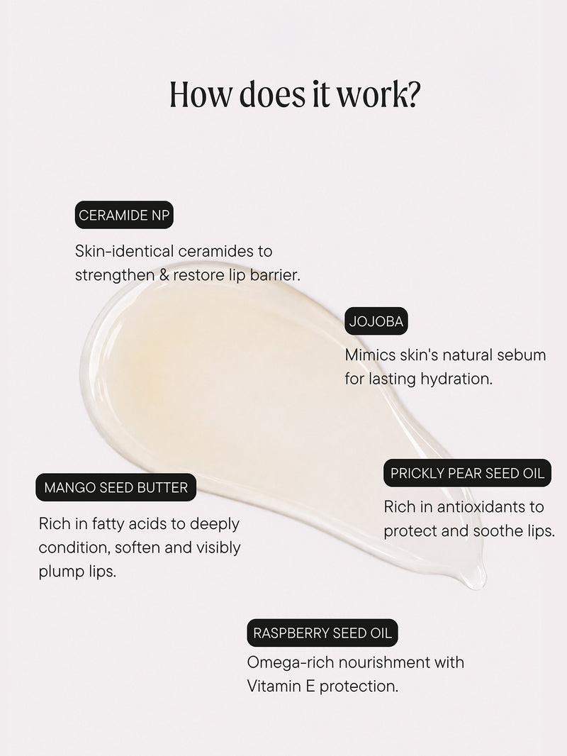 Ceramide Wet Gloss Lip Repair Treatment