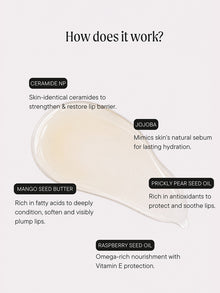 Ceramide Wet Gloss Lip Repair Treatment