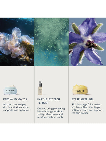 Prep & Replenish Routine