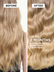 Blond Absolu Essentials Set